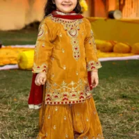 Mustard Maroon Gharara Suit